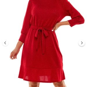 Adrienne Vitadini Dress  size XL NWT